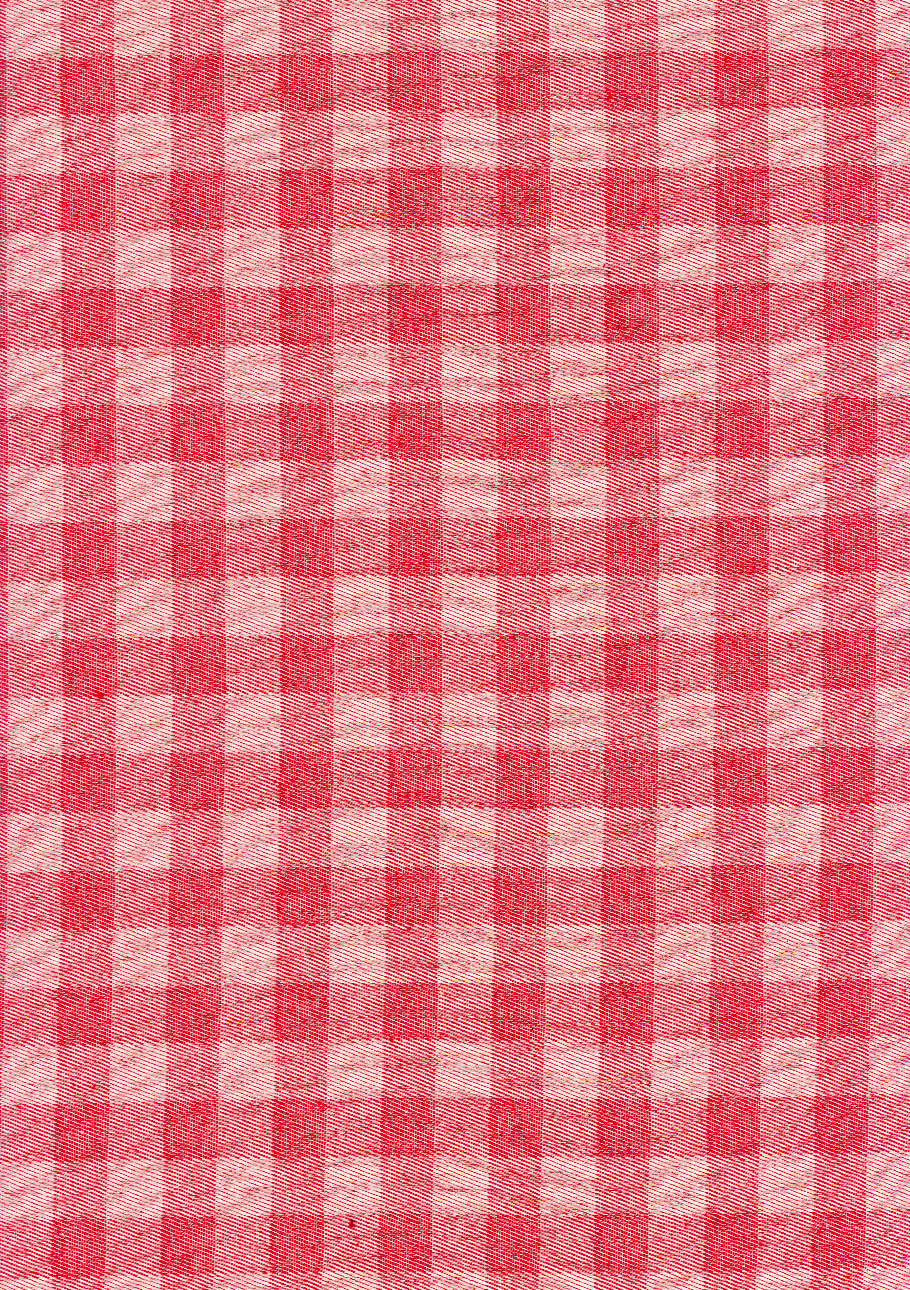 acufactum - Cotton fabric - Check - red
