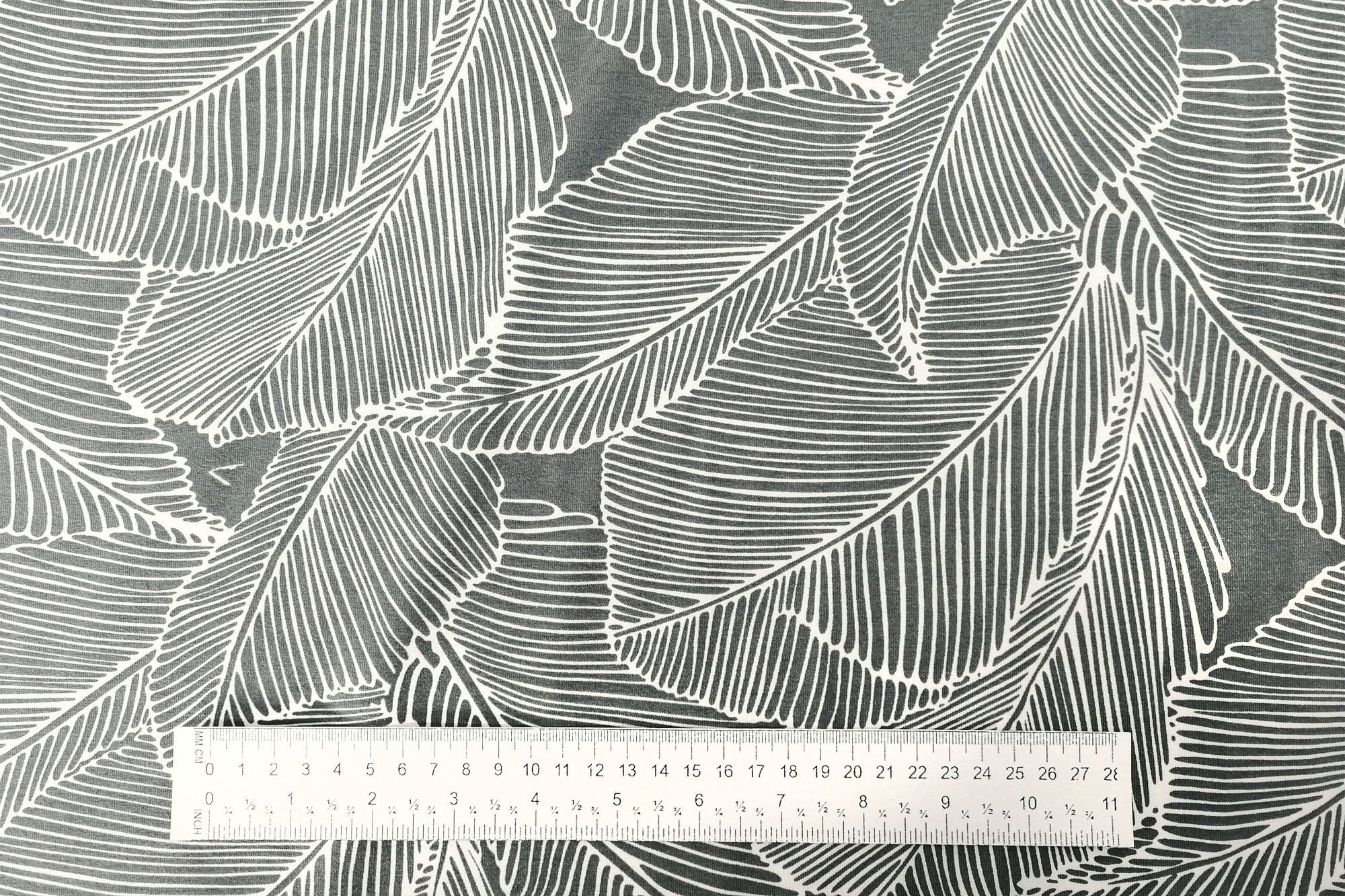 Cotton Jersey Avalana 19-667 palm leaves on grey